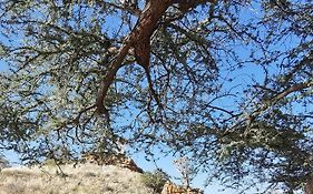 Achab Camping Camp Site